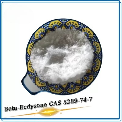 Cosmetics Raw Material Molting Hormone Powder Hydroxyecdysone / Beta Ecdysterone CAS 5289-74-7