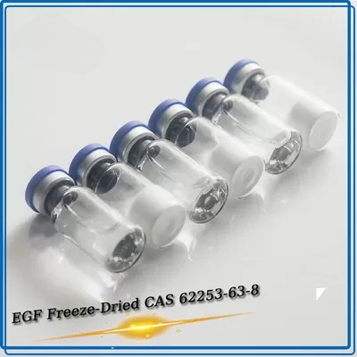 Epidermal Growth Factor