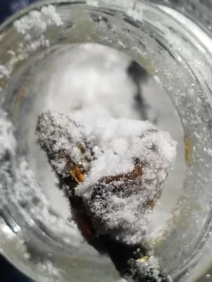 Buy CBD Isolate Powder Online