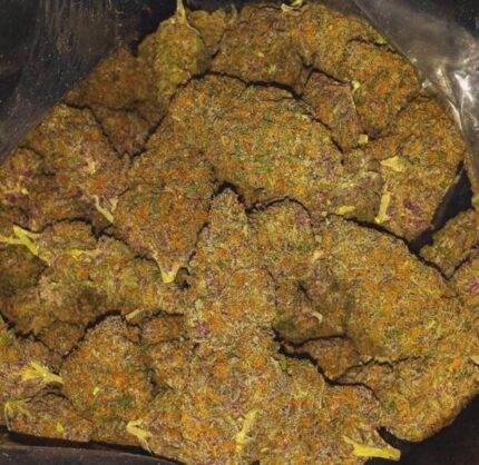 Buy Kill Bill Weed Strain Online